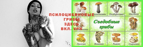 альфа пвп Магадан