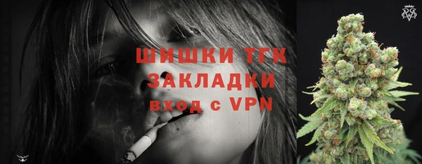 трава Магас