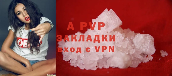 трава Магас
