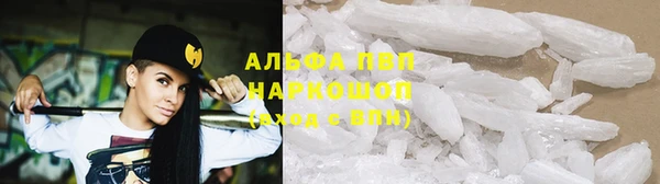гидра Майский