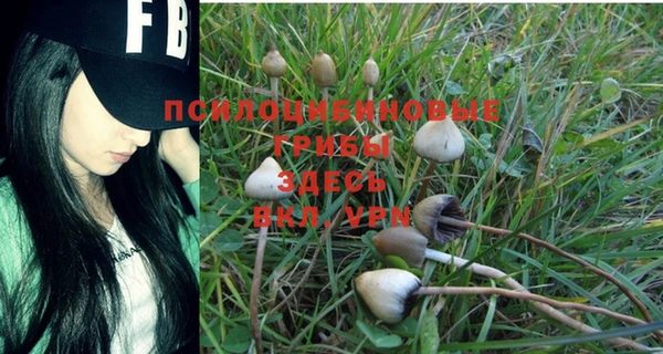 меф Медногорск