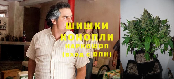 гидра Майский