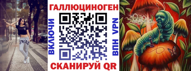 как найти закладки  Чегем  Псилоцибиновые грибы GOLDEN TEACHER 